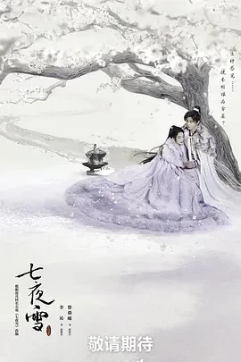 七夜雪 (2024)更至26集-百度网盘1080P高清免费国产剧资源插图