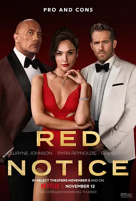 红色通缉令 Red Notice (2021)-中英精校字幕