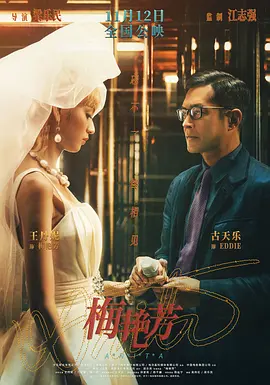 梅艳芳 梅艷芳 (2021)导演剪辑版网盘资源-更新至05片段