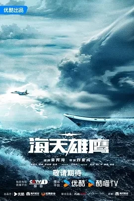 海天雄鹰（2024）1080P百度网盘资源国产剧全集免费高清在线观看插图