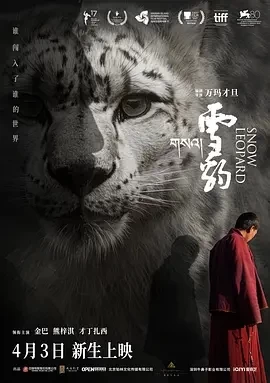 雪豹（2024）1080P百度网盘资源免费电影高清在线观看