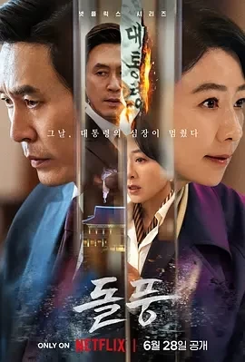 政坛旋风（2024）1080P百度网盘资源韩剧全集免费高清在线观看插图