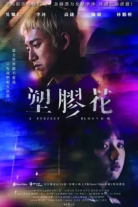 塑胶花（2024）1080P百度网盘资源国产剧全集免费高清在线观看插图