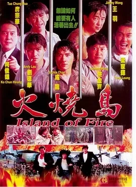 火烧岛(1991)百度网盘1080P高清免费电影资源插图