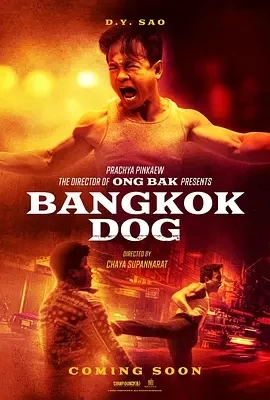 曼谷战狼 Bangkok Dog (2024)百度网盘1080P高清免费泰国电影资源