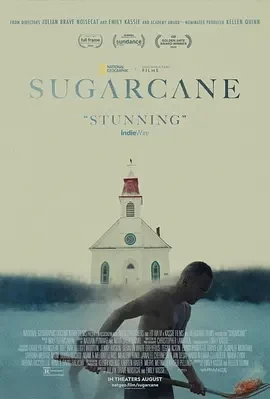 甘蔗 Sugarcane (2024)百度网盘1080P高清免费纪录片电影资源